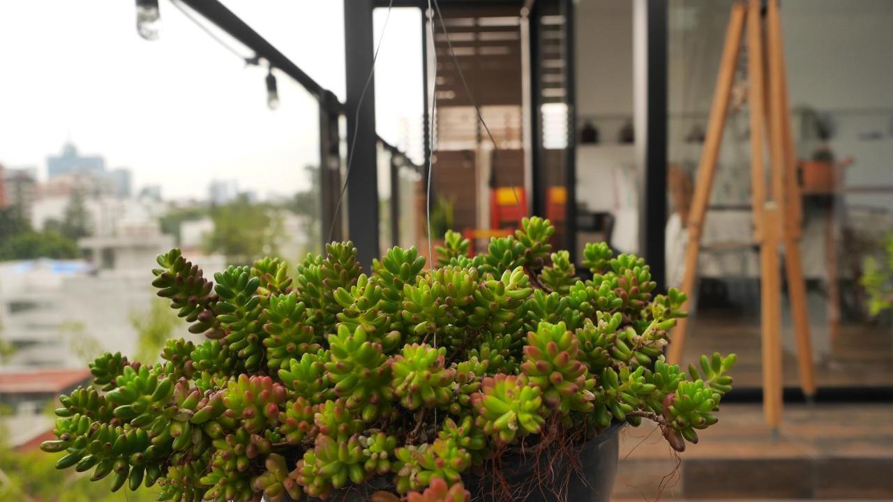Loft Remedios - Penthouse Cdmx - Areas Comunes Compartidas Mexico City Exterior photo